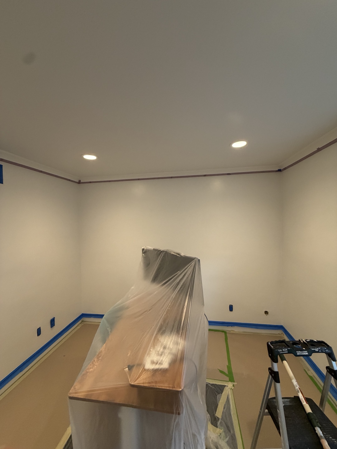 Tarzana before photo 3